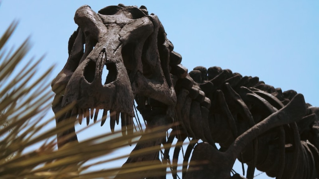 Wie sehen Dinosaurierknochen aus?